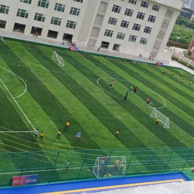 Dli Heritage Player Full Only Field Good