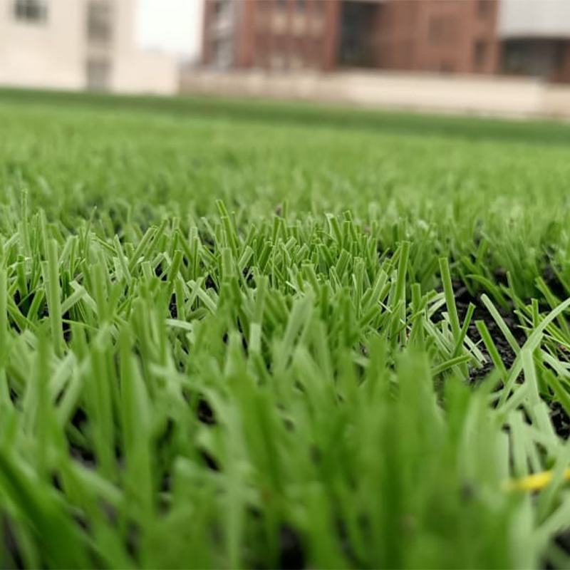 50mm astroturf